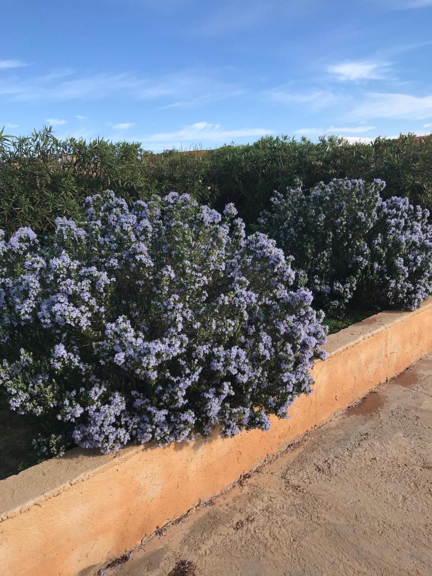 Dammuso Villa Lampedusa Exterior foto